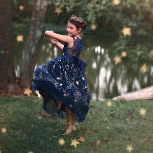 ANTOINETTE GOWN - navy flower girl or party dress with gold stars